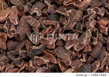 カカオニブ: Cacao nibs (Cocoa nibs) 19867889