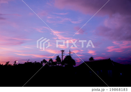 トワイライト 19868183