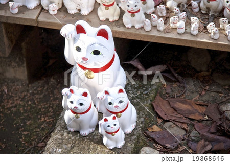 豪徳寺 19868646