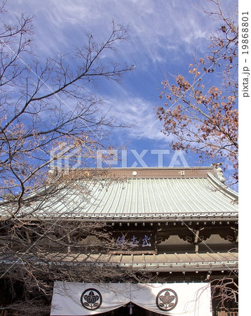 豪徳寺 19868801