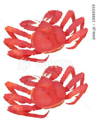 たらばがに 中サイズセット のイラスト素材