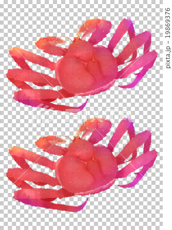 Bright Bride crab (medium size set) 19869376