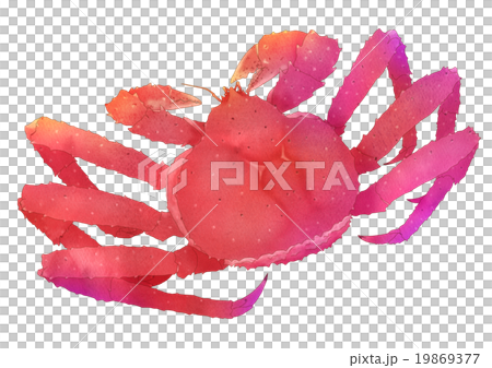 Bright braty crab (with main line) 19869377