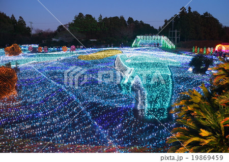 伊豆ぐらんぱる公園 イルミネーション 伊豆ぐらんぱる公園 イルミネーション 19869459