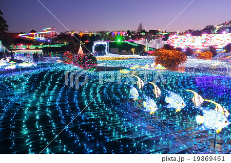 伊豆ぐらんぱる公園　イルミネーション 19869461