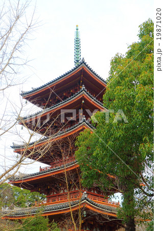 志度寺 五重塔 志度寺 五重塔 19871020