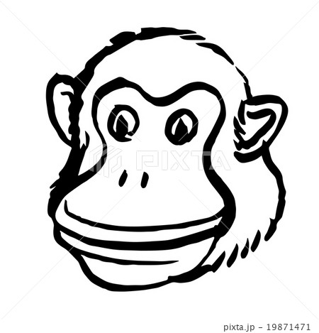 Freehand of monkey head on white background Freehand of monkey head on white background 19871471