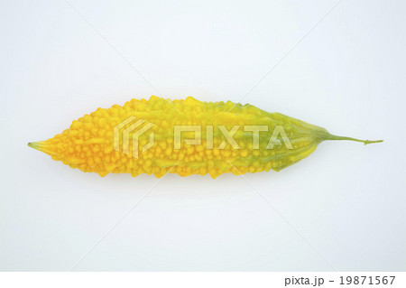 熟れたゴーヤー 19871567