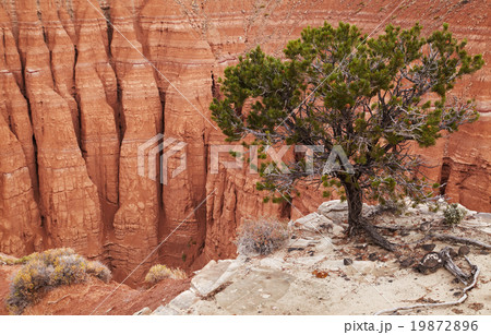 Cathedral Valley, Capitol Reef national park, USA 19872896