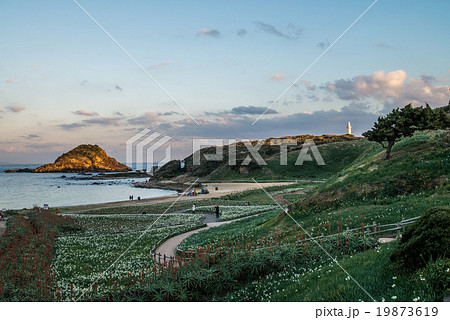 スイセン咲く伊豆爪木崎夕景 19873619