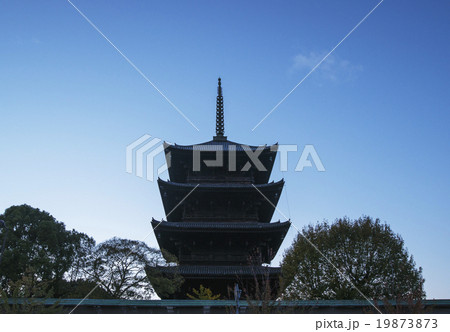 東寺 夕景 東寺 夕景 19873873