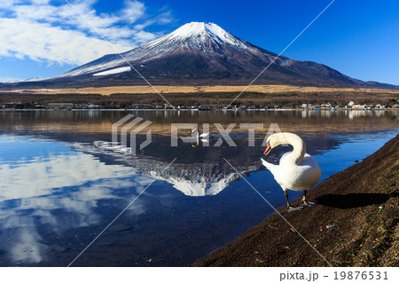 富士山 富士山 19876531