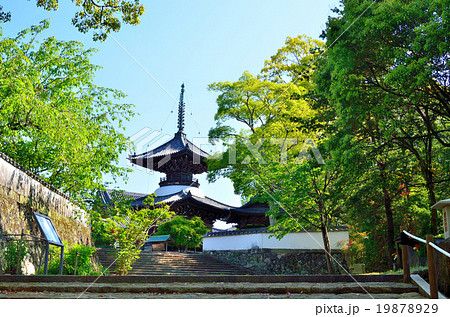 紀伊の高山寺 19878929