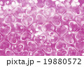 Grunge colorful background 19880572