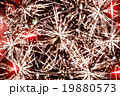 Grunge colorful background 19880573