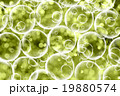 Grunge colorful background 19880574