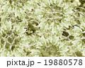 Grunge colorful background 19880578