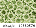 Grunge colorful background 19880579