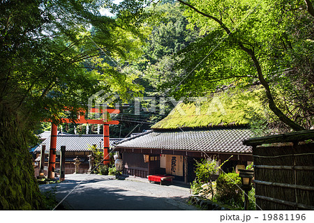 嵯峨野の風景 19881196