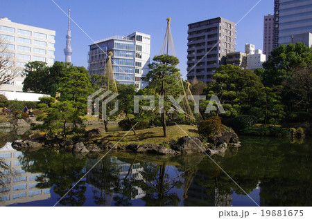 ビルの中の和風庭園 19881675