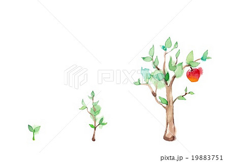 木の成長とリンゴのイラスト素材