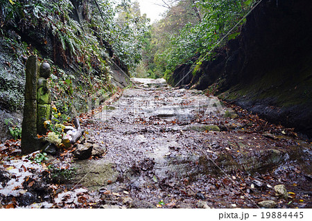 朝比奈切通し 19884445