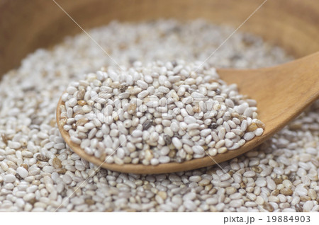 ホワイトチアシード ホワイトチアシード 19884903