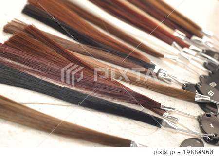 ヘアカラーチャート 19884968