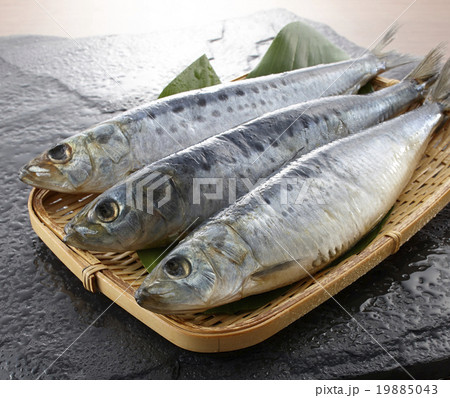 塩いわし 19885043