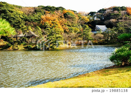 錦秋三渓園散策行 19885138