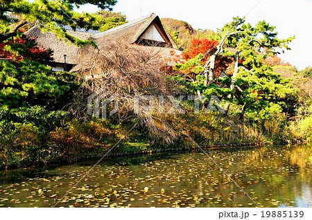 錦秋三渓園散策行 錦秋三渓園散策行 19885139