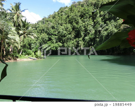 ボホール島　ロボック川クルーズ 19885449