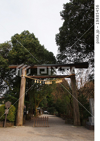 天岩戸神社の鳥居。神話に登場する天照大御神様が御祭神の神社。 天岩戸神社の鳥居。神話に登場する天照大御神様が御祭神の神社。 19885456