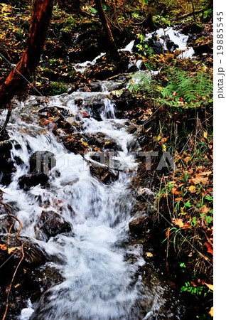 錦秋尚仁沢ハイキング行 19885545