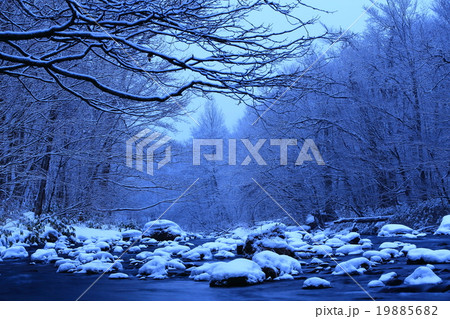 冬の奥入瀬渓流 紫明渓 冬の奥入瀬渓流 紫明渓 19885682