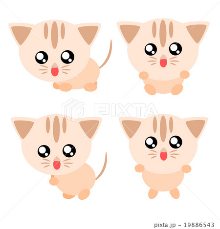 Cartoon cat illustration 19886543
