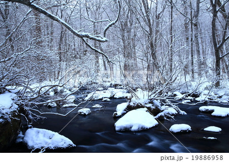 冬の奥入瀬渓流　三乱の流れ 19886958
