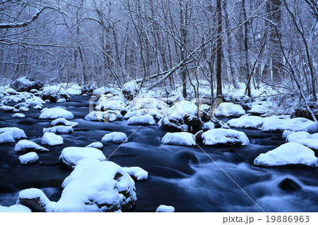 冬の奥入瀬渓流　三乱の流れ 19886963