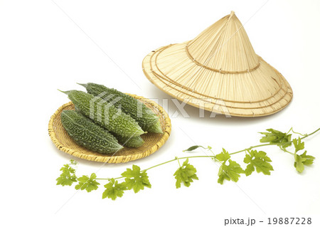 ゴーヤーとクバ笠 ゴーヤーとクバ笠 19887228