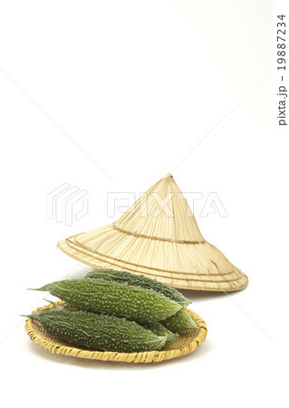 ゴーヤーとクバ笠 ゴーヤーとクバ笠 19887234