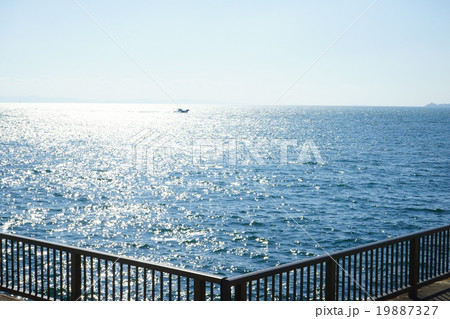 海浜公園の風景 19887327
