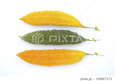 熟れたゴーヤーと緑のゴーヤー 19887371