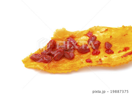 ゴーヤーの種 ゴーヤーの種 19887375