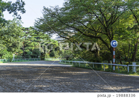 馬事公苑の走路 19888336