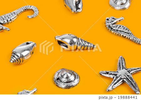 Sea conches - beach background Sea conches - beach background 19888441