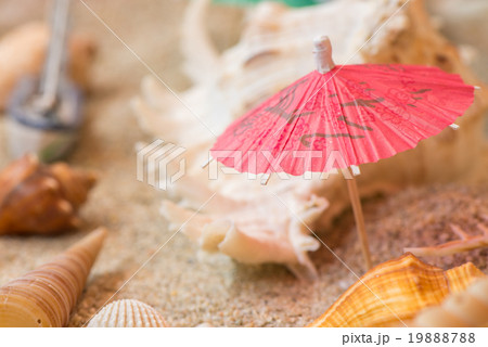 Umbrella sea shells on sandy tropical beach. Umbrella sea shells on sandy tropical beach. 19888788