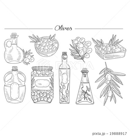 Olive Oil Handdrawn Vector Set 19888917
