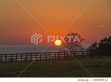 北海道 日高 だるま夕日 牧場の写真素材