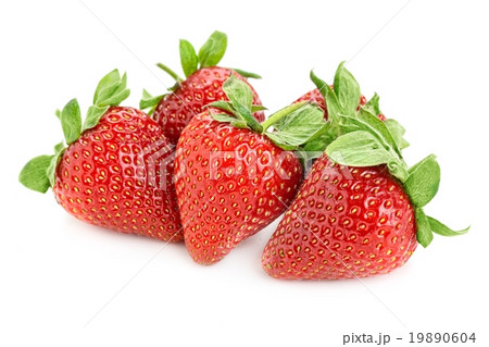 strawberries strawberries 19890604