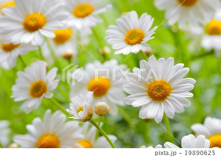 naure power naure power 19890625